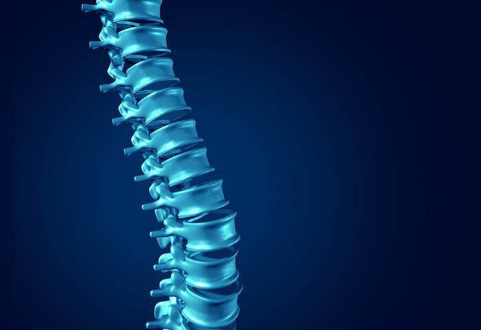 Digital image of a spine, highlighting ways to prevent spinal stenosis